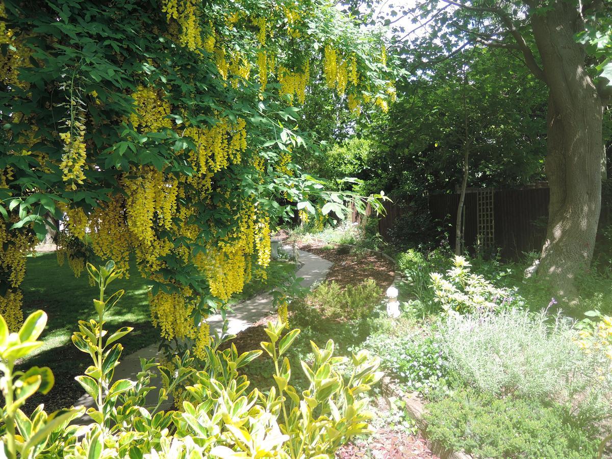 Tresillian House Bed and Breakfast Melton Mowbray Buitenkant foto