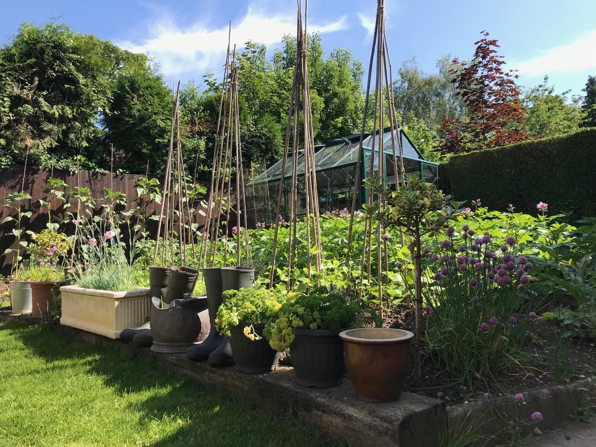 Tresillian House Bed and Breakfast Melton Mowbray Buitenkant foto