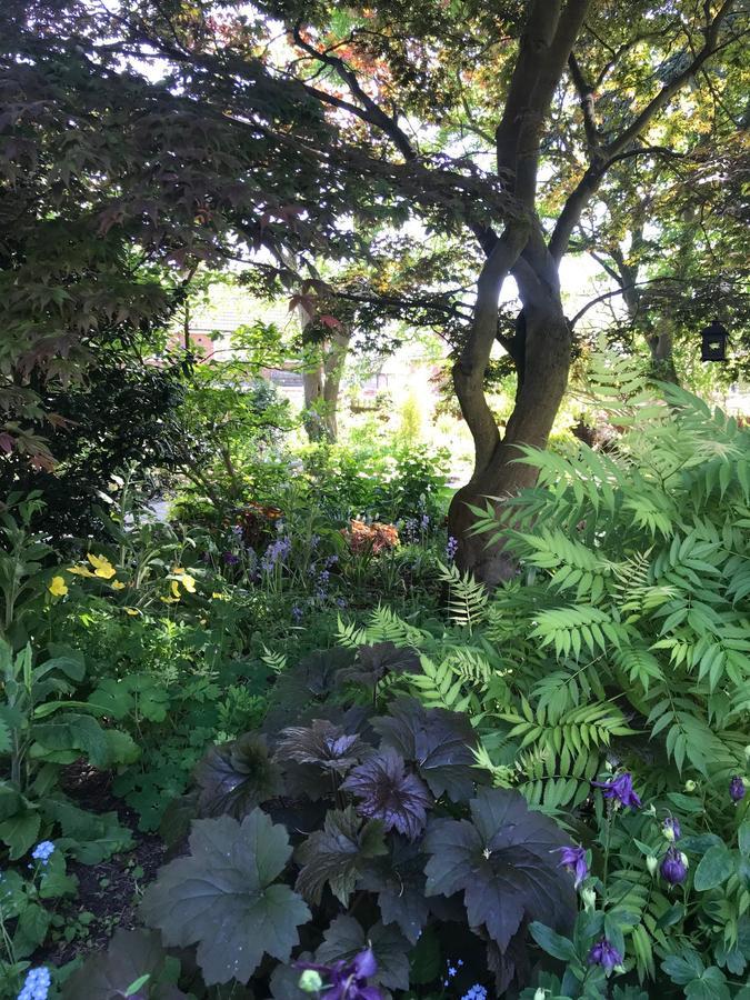 Tresillian House Bed and Breakfast Melton Mowbray Buitenkant foto