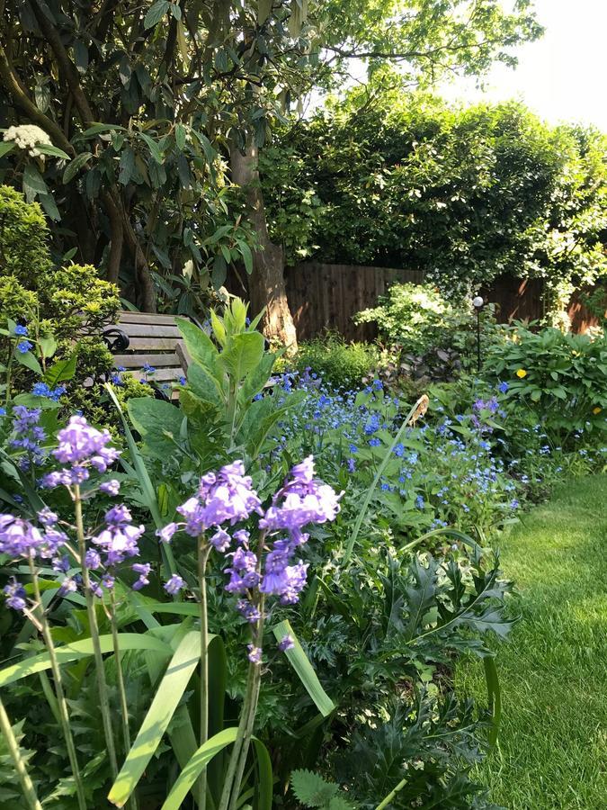 Tresillian House Bed and Breakfast Melton Mowbray Buitenkant foto